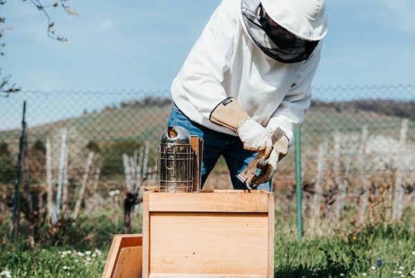 man in white long sleeve shirt and blue denim jeans standing on green grass field during